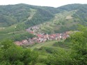 Schelingen im Kaiserstuhl